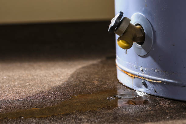 Best Residential water damage restoration  in North East, MD