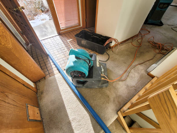 Best Water damage restoration near me  in North East, MD