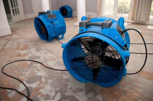Best Mold removal after water damage  in North East, MD