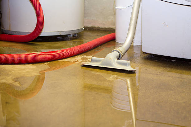 Local water damage restoration in MD