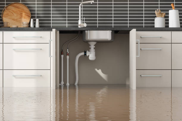 Best Residential water damage restoration  in North East, MD