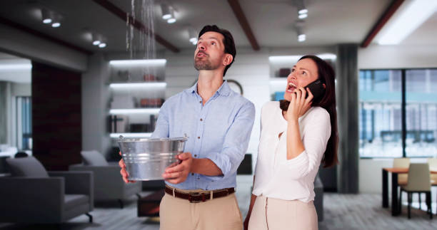 Best Professional water damage repair  in North East, MD